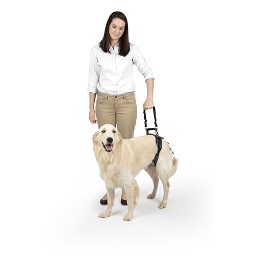 PetSafe CareLift Arnés de Elevación Trasera para Perros, Arnés de Soporte con...