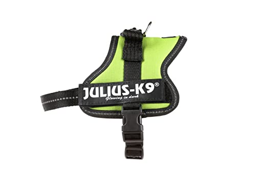 Julius K9 162KW-MM-AMZ - Arnés para Perros, Verde (Verde (Verde Kiwi)), XS, 1...