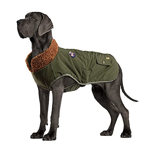 IREENUO Abrigos para Perros Impermeable,Abrigo Perro para Perros medianos y...