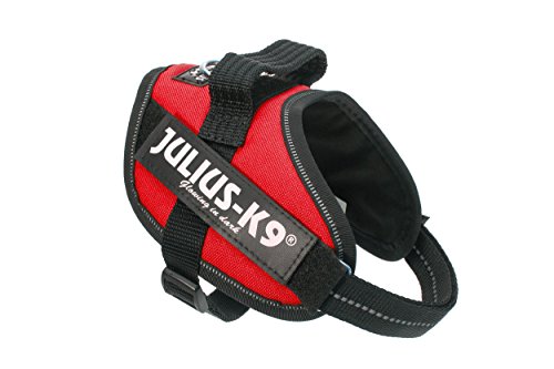 JULIUS-K9 Arnés JULIUS-K9 IDC, XS/Mini-Mini, 40–53 cm/22 mm, Rojo, Perro