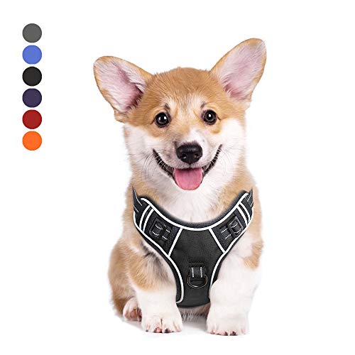 HEELE Arnés para Perro Pequeño Antitirones, Chaleco Ajustable Reflectante...