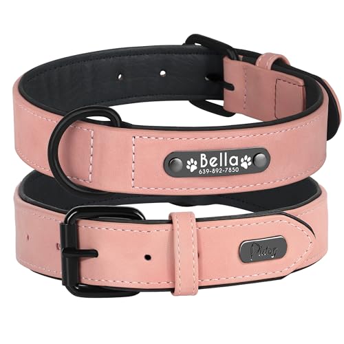 Didog - Collar de Piel Suave Acolchada Personalizable para Perro, Chapa de...
