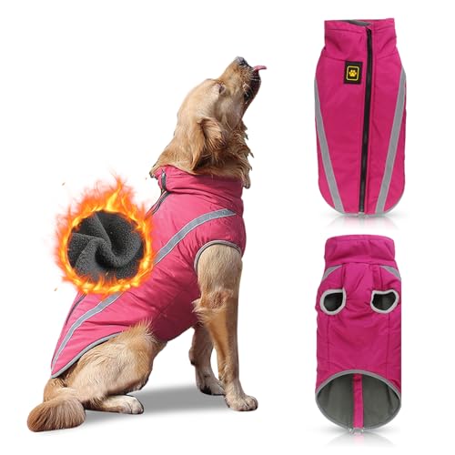 PETCUTE Abrigo para Perros Impermeable Chaleco cálido para Perro Chaqueta para...