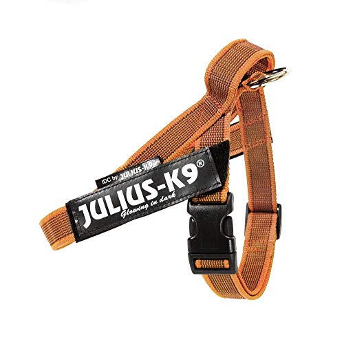 JULIUS K9 Arnes Cinta,Color & Gray Size: Mini, Naranja 1 Unidad 600 g