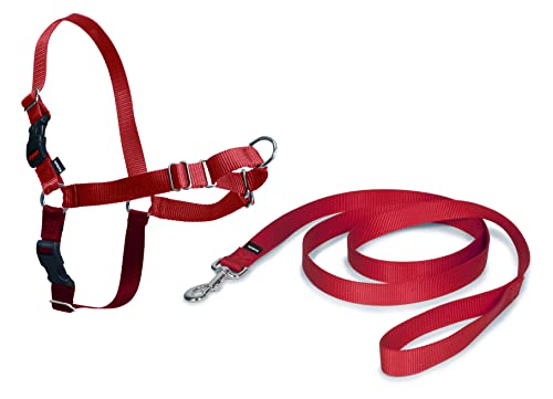 Arnés Easywalk para perro de PetSafe