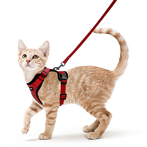 rabbitgoo Arnes para Gatos Antiescape con Correa 150cm, Arnes Gato Ajustable...