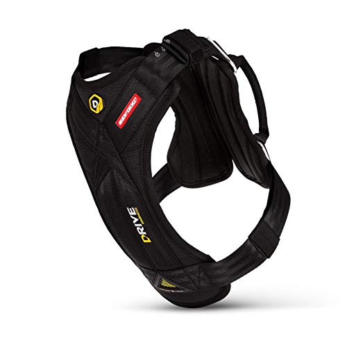 Ezydog Drive Arnés De Coche para Perro, Cinturón De Seguridad para Perros,...