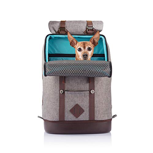 Kurgo, Mochila transportín para Perros y Gatos, Senderismo, Bolsillo para...