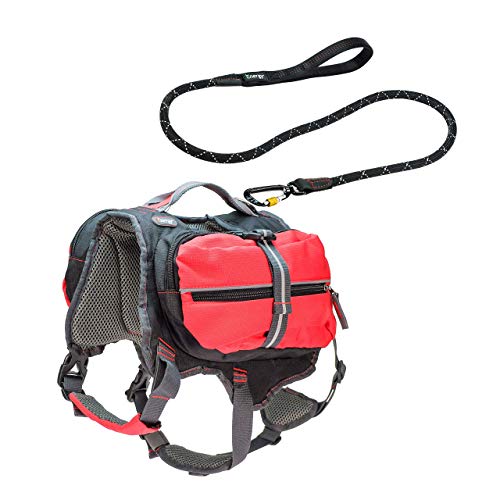 iEnergy Mal - Mochila Deportiva para Perro (Grande)