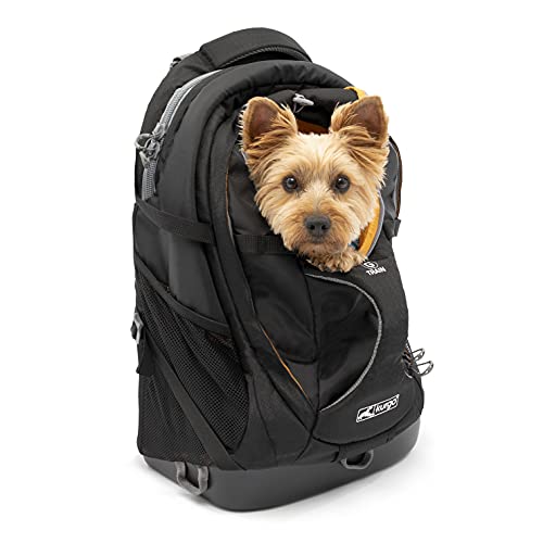 Kurgo G-Train, Mochila para Perros Pequeños y Gatos, Transportín, Base...