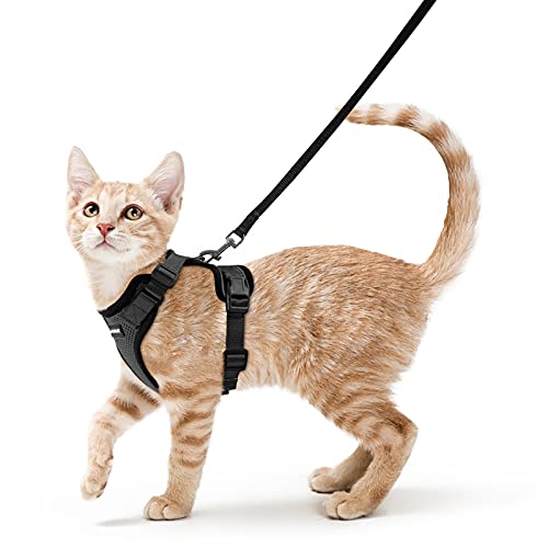 rabbitgoo Arnes para Gatos Antiescape con Correa 150cm, Arnes Gato Ajustable...