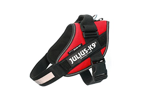 JULIUS-K9 IDC Arnés para perros, talla 0/M, 58–76 cm, peso 14-25 kg, Rojo,