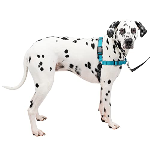PetSafe Easy Walk Deluxe Arnés Antitirones para Perros, Adiestramiento de...