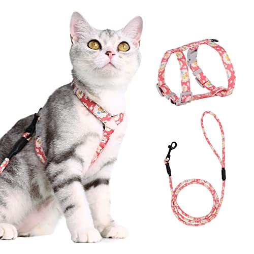 PETTOM Arnés Ajustable Antiescape para Gato con Correa Redonda - Cómodo y...