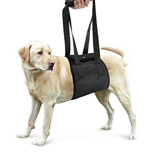UEETEK Perro elevación Soporte arnés canino Ayuda rehabilitación arnés para...