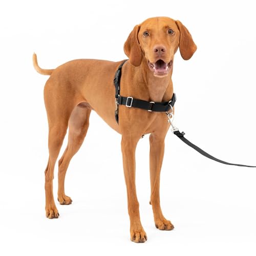 Arnés para Perros Easy Walk de PetSafe, arnés antitirones para Perros – para...