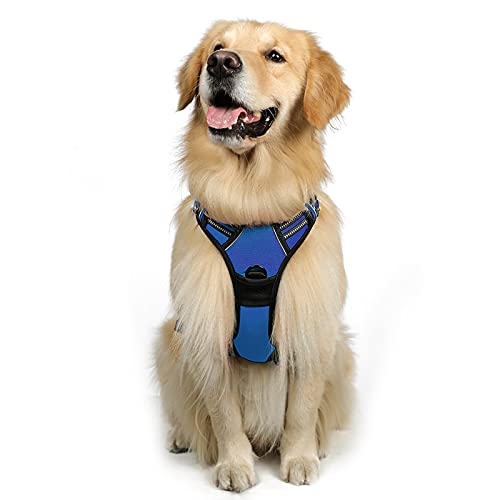 rabbitgoo Arnes Perro Grande, Arnes Perro Antitirones Coche con Lineas...