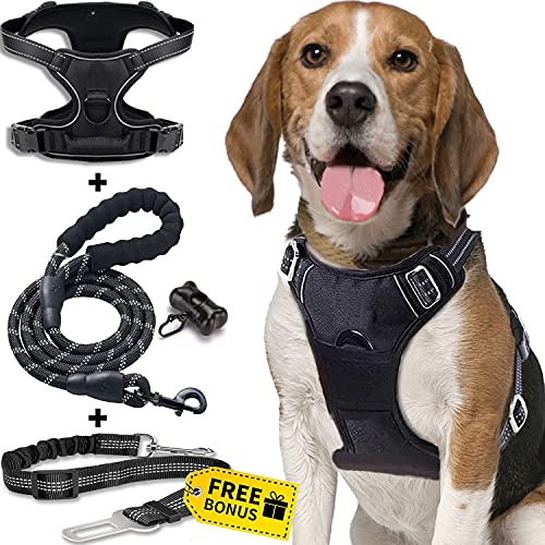 Guardian Bear 4x1 Arnes Perro Mediano + Correa Resistente + Cinturón de...