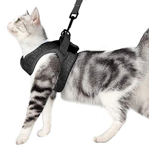 LIANZIMAU Juego de arnés y Correa para Gato Ultraligero para Caminar a Prueba...