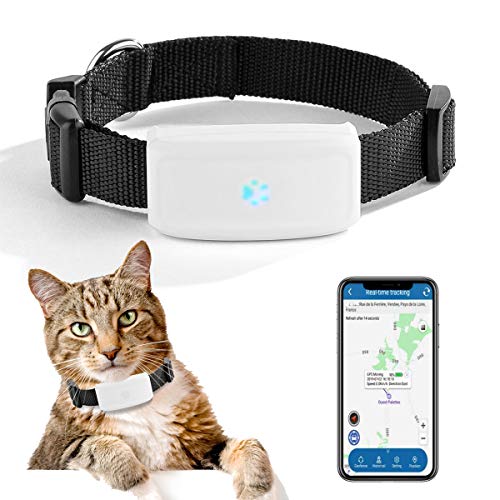 Localizador GPS para Perros y Gatos Tiempo Real Pequeño GPS Tracker con...