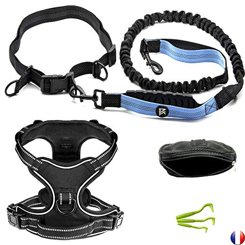 Newka Arnés para Perro Canicross Modelo 2020 Negro + Correa de Manos Libres...