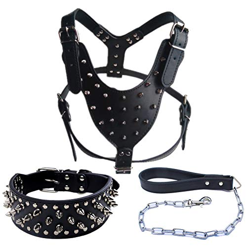 kangOnline Collar de perro de cuero con tachuelas para collar Pitbull Mastín...