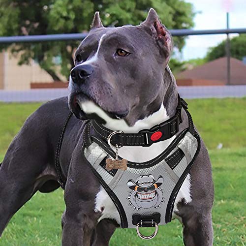 PENGDA Arnés Perros Sin Tirón Chaleco para Mascotas Grande Arnés para...