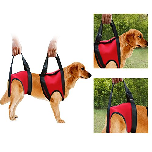 FILFEEL Soporte para Perros Heridos Arnés Pet Walking Ayuda Lifting Pulling...