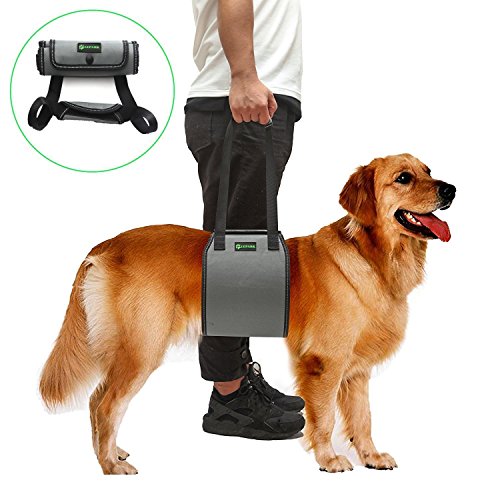 RockPet Soporte para Perros con Manija para la Ayuda Canina, Aprobado por los...